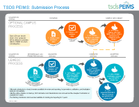 Infographic - TSDS PEIMS Process Flow THUMB