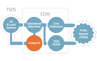 TSDS-Infographic-Unique_ID_2020_375px.png