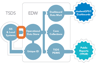 Infographic-TSDS-TEDS